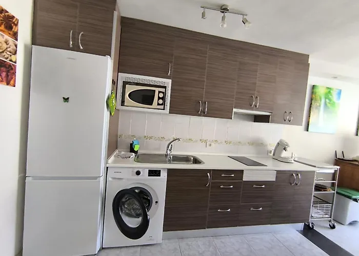 Helena Ocean View Gigantes Apartament